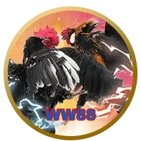 WW88